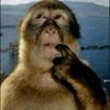 kholl_