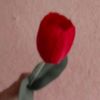 abdumajidovna_1985
