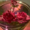 axstry_