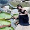 dangdieumy