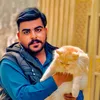 saadsaeed953