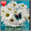 anamari0726