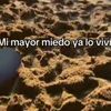 contacto_cero17