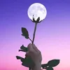 dyc6w1rzdwvg