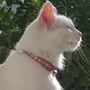 perla.0.perla