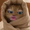 jjjeejjjej