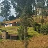 albinac.ch.467