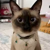 lillyoliver8