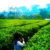 syafacinaynanay2