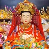 tuphuvanlinh10