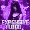 _expensiveflood