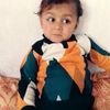 shirazamkhan268