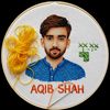 aqibshah593