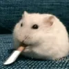 paaaarla