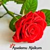 user6120481377460