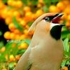 user1969mohamedamen