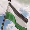 salahm_07