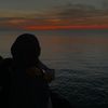 reviehusin