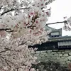 hieunguyen212121