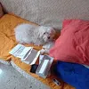 donatorebba