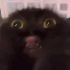 jjjstarsmoons