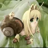 shrotojr033