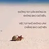 thientrang12_8