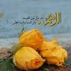 user762266103891