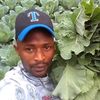 kariukigreensfarm