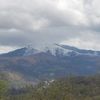 tiketlouisort