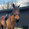 rubyy.x.10