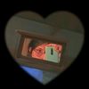 isx_bela_