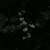 zainab_xo74