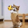 durinda_4