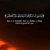 mohammede298