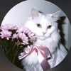 1m_slsl