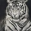 user27pjvvniu6
