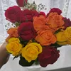 user421496362466