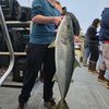 gingerfisher10