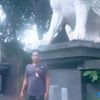 030375jay