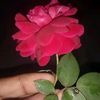 abburrajkonna88