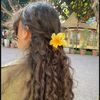 fariiumer5