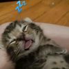 clynn_4u