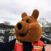 prezessdz94