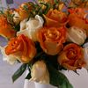 bebyt_1206