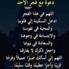 bouazizimonia833