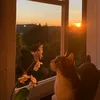 meowsama7