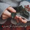 rayanasd601
