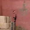 jezozwiez_pispolitus