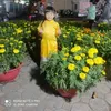 anhduongvahaidang
